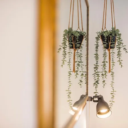 Leticia 公寓 斯普利特